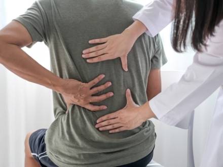 Indiana professional license defense attorney